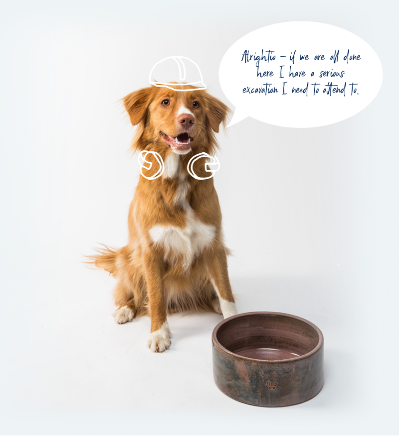 Dog wearing a drawn hard hat and headphones beside a bowl, with a speech bubble about getting back to an excavation