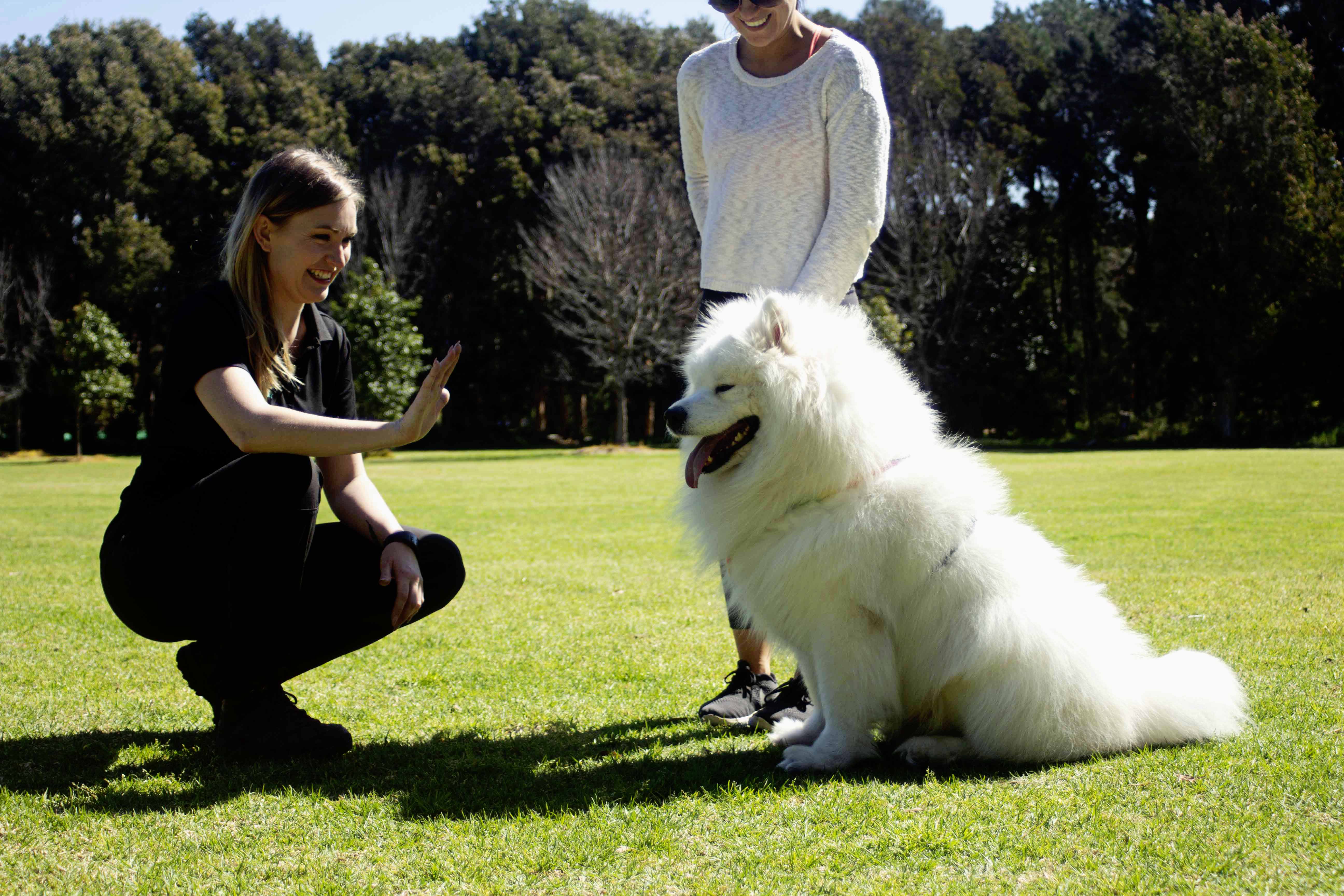 Marianne Dawson, Sydney dog behaviour trainer and founder of Pet Professor, with her dog