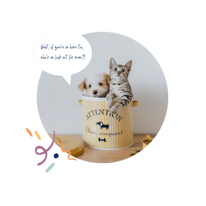 Unleash the Possibilities